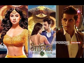 Naagin 3 Climax: Mouni Roy And Karanvir Bohra Will Give An Epic Ending To The Show