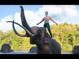 Junglee Box-Office Collection Day 2: Vidyut Jammwal’s Action Flick Makes Rs. 7.7 Crore In 2 Days
