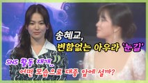 송혜교, 송중기와 파경 4개월 만에 SNS 활동 재개