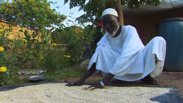 جبل مرة بالسودان طبيعة ساحرة وأجواء خلابة