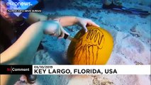 Divers carve pumpkins in depths of Florida Keys