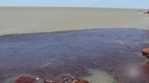 Llegan toneladas de petróleo a varias playas brasileñas