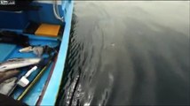 Un animal inconnu filmé en Thailande dans la mer !
