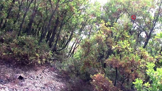 PKK'ya ağır darbe: 13 sığınak ve depo imha edildi, çok sayıda mühimmat ele geçirildi...İmha anı kamerada