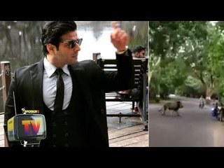 Karan Patel Shares A Video Of A Lion Strolling Across Mumbai's Aarey Road | SpotboyE