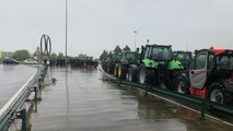 Laval. Les agriculteurs mayennais mènent une opération escargot