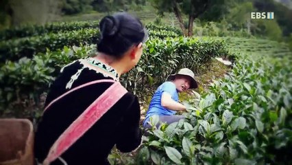 세계테마기행 - 아시아 강촌기행- 강이 품은 사람들 중국_#001