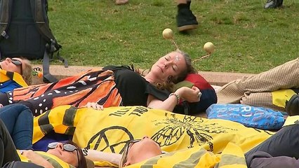 Extinction rebellion protesters arrested in Sydney