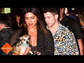 Priyanka Chopra rocks a sheer maxi dress as she steps out with Nick Jonas and her pooch Diana