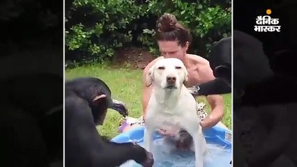 pointer tag video
