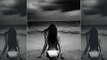 Malaika Arora Looks Breathtaking In This Throwback White Bikini Picture | SpotboyE