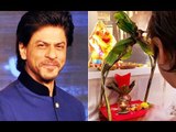 Shahrukh Khan And AbRam Bid Goodbye to Lord Ganesha | SpotboyE