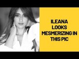 Ileana D'Cruz shares stunning pictures on Instagram | SpotboyE