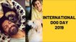 International Dog Day: Karisma Kapoor, Farhan Akhtar, Sonali Bendre share posts with their pet