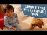 Taimur Ali Khan playing with an adorable puppy is the cutest thing on the internet today | SpotboyE