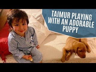 Taimur Ali Khan playing with an adorable puppy is the cutest thing on the internet today | SpotboyE