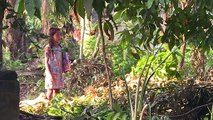 Vozes da Amazônia: Professora indígena