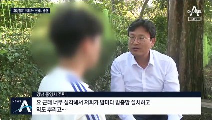 불도 없는데 “앗 뜨거워”… 화상벌레 출몰 주의보