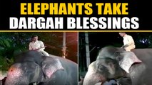Elephants take blessings before Jumboo Savari | OneIndia News