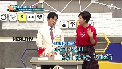 팔뼈와 어깨뼈가 불안정한 구조의 어깨 관절ㄷㄷ 때문에 힘줄이 중요하다?!