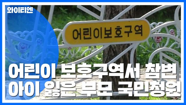 어린이 보호구역에서 아들 잃은 부모, 애끓는 국민청원 / YTN