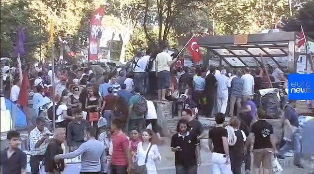 Gezi Davası: Tutuklu sanık Osman Kavalı'nın eşi Prof. Dr. Ayşe Buğra euronews'e konuştu