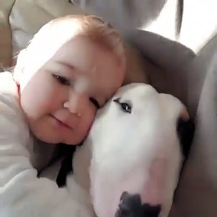 Ce bébé et ce chien sont Comme une caresse pour oublier le stress, pendant quelques instants.