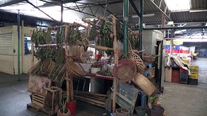 Hierbas y "cirugías espirituales", remedios desesperados de enfermos venezolanos