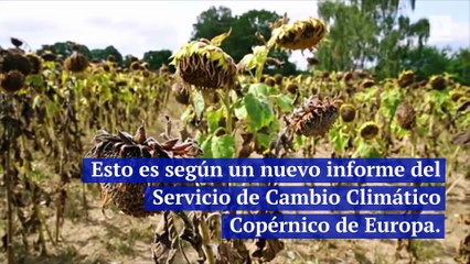 La Tierra experimenta el septiembre más cálido jamás registrado