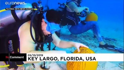 آمریکا؛ مسابقه کنده‌کاری روی کدو‌ تنبل در اعماق آب‌های فلوریدا