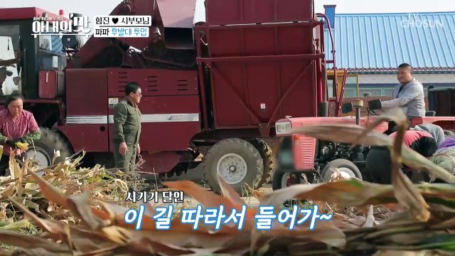 10만평 옥수수 수확 大작전 ♬ 대륙의 농사 스케일