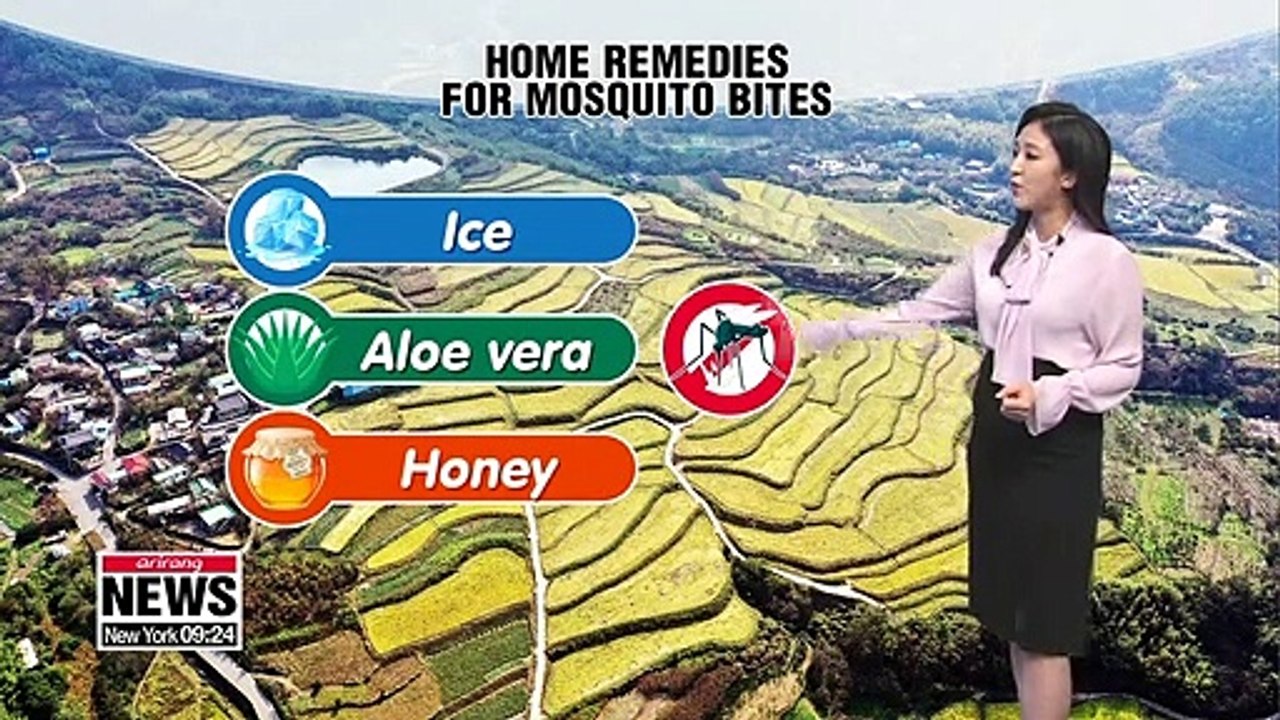 Morning lows plunges further tomorrow