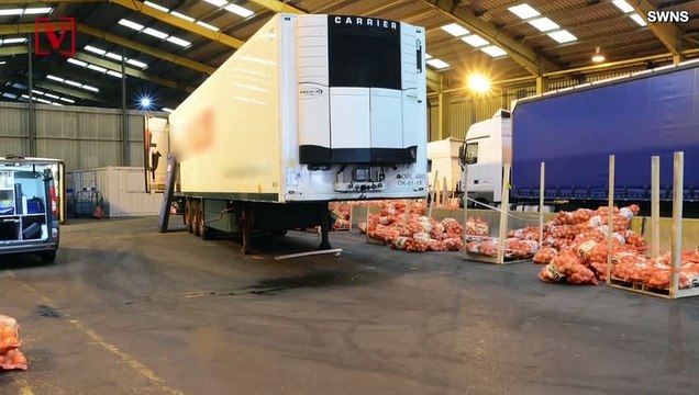 Police Arrest Thirteen and Seize Over 50 Tonnes of Drugs in Massive Bust