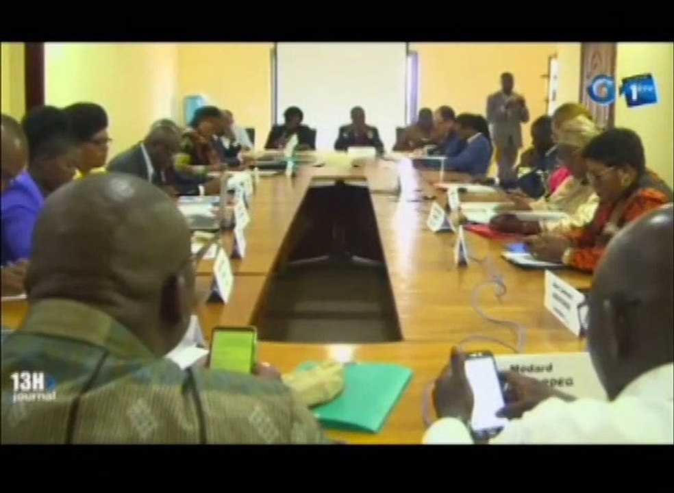 RTG -  de l’atelier d’appui à la coalition des organisations de la société civile d’Afrique Centrale en planification stratégique des activités de prévention et de résolution de conflits