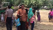 Stranded whale shark dies and is buried on beach in Indonesia