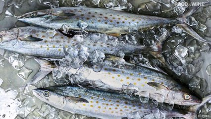 We Should All Eat More Seafood to Achieve Sustainability