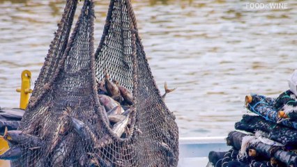 Nobody Really Knows If Tuna Is Sustainable