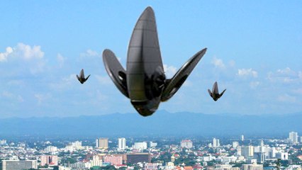 A huge aliens mothership sending lights code over Austin