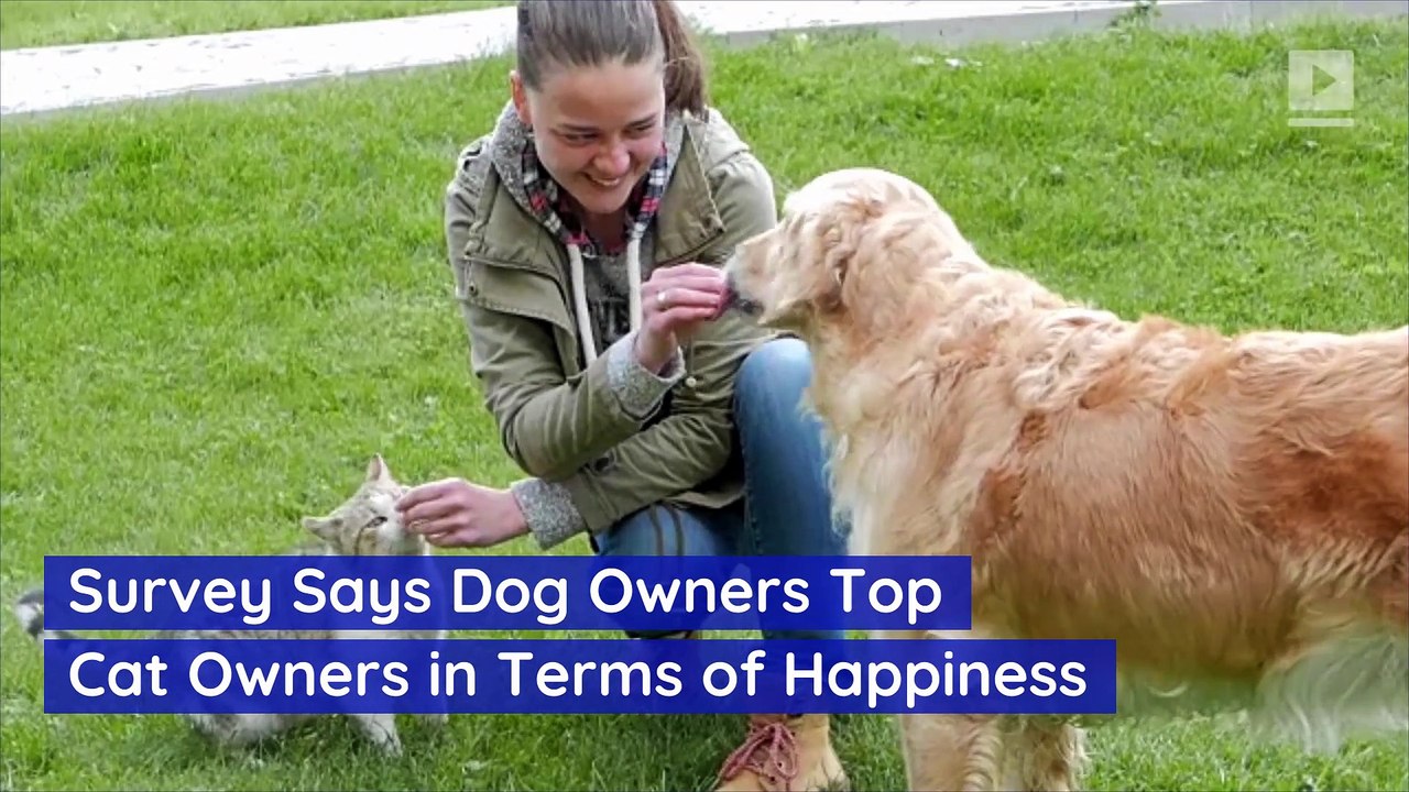 Survey Says Dog Owners Top Cat Owners in Terms of Happiness