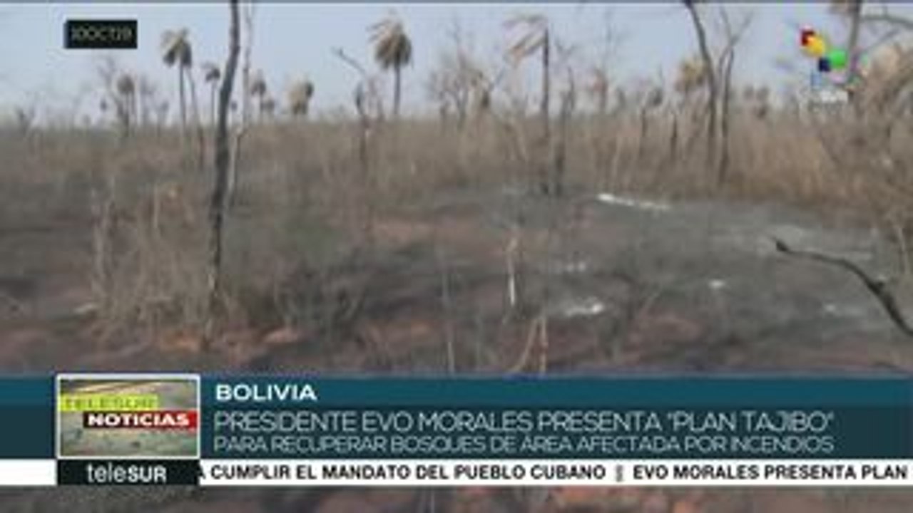 Pdte. Evo Morales presenta Plan Tajibo para reforestar bosques