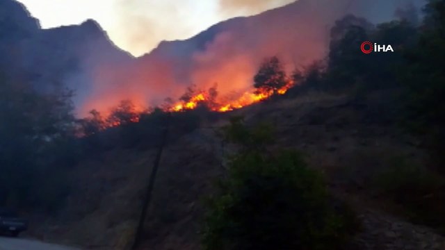 Kemaliye’de korkutan yangın: Meyve ağaçları kül oldu