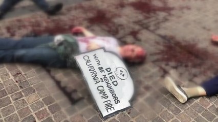 "비상사태"...미·유럽서 기후변화 시위 물결 / YTN