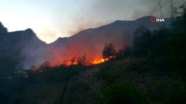 Kemaliye'de korkutan yangın: Meyve ağaçları kül oldu
