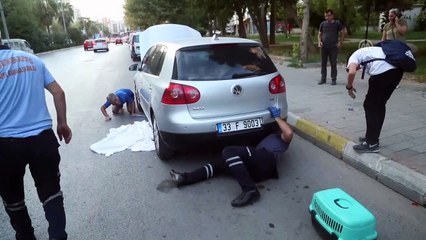 Kedi yavruları sürücünün dikkatiyle kurtarıldı - MERSİN