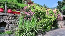 SAIDPUR - Exploring the beautiful village - Pakistan Vlog