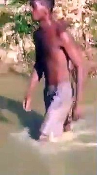 Un homme tombe sur une anguille électrique : douloureux