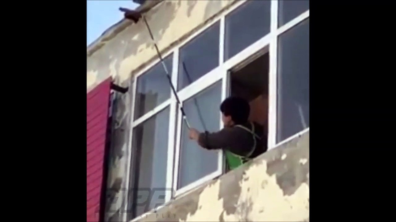 Il veut détruire un nid de guêpes à coup de balai mais ça ne se passe pas comme prévu