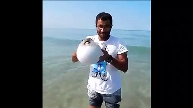 Technique de défense de ce poisson : se gonfler comme un ballon