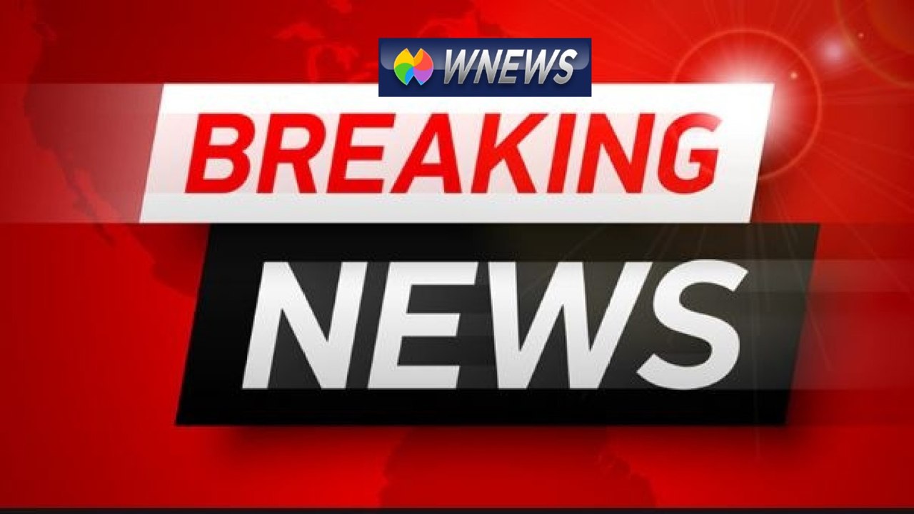 WildNews Breaking News