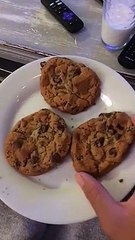 Black Kitten Swipes Cookie off Plate